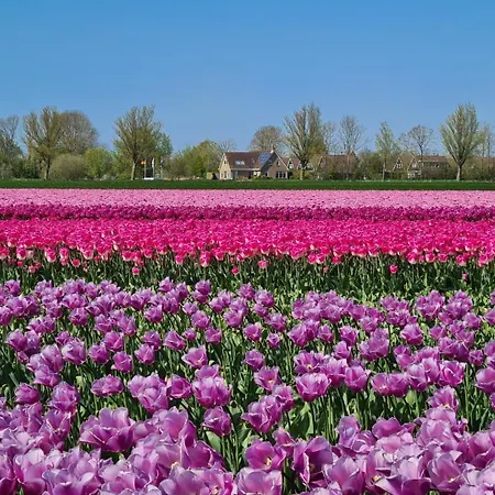 552 Op Recreatiepark De Wielen Alpehytte