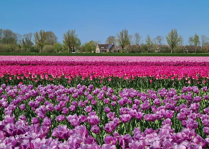 552 Op Recreatiepark De Wielen Domek alpejski
